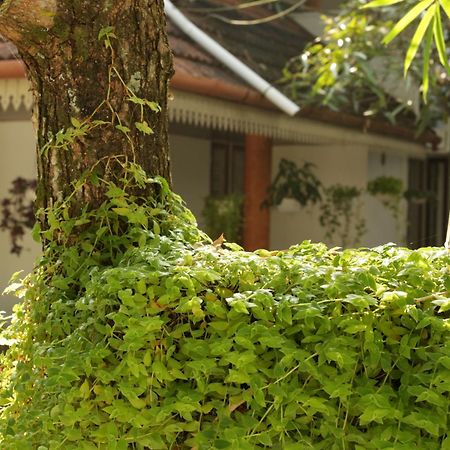 Kochi Mi Casa Tu Casa Homestay מראה חיצוני תמונה